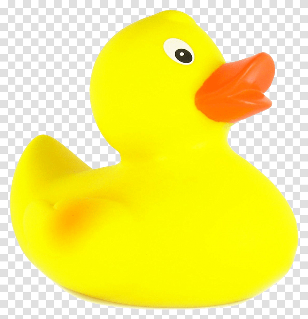 Rubber Duck Free Pic Duck, Bird, Animal, Waterfowl Transparent Png
