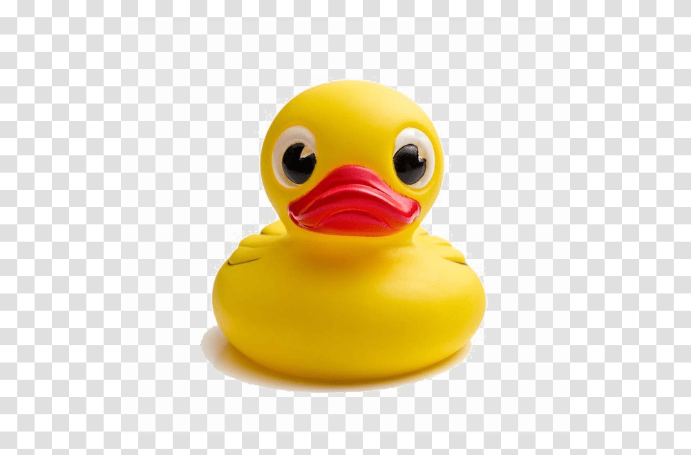 Rubber Duck Front View, Toy, Beak, Bird, Animal Transparent Png