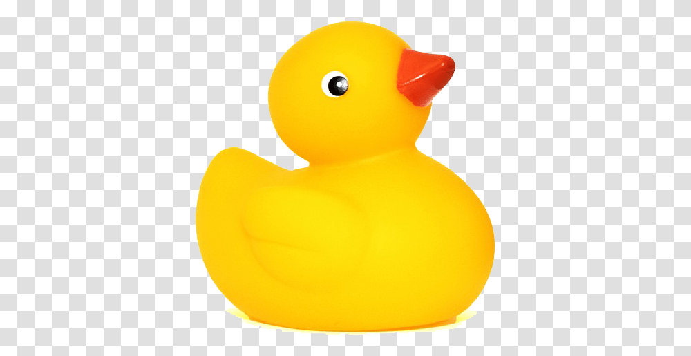 Rubber Duck Images, Bird, Animal, Waterfowl, Toy Transparent Png