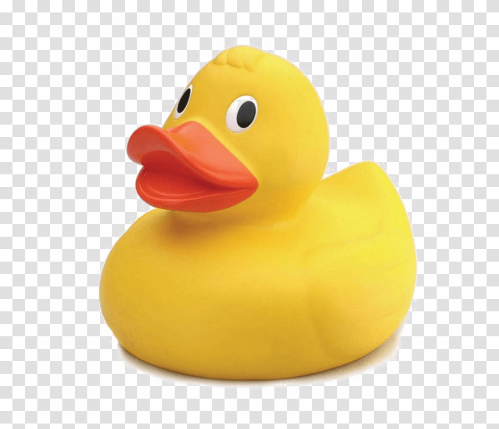 Rubber Duck Photo, Toy, Bird, Animal, Dodo Transparent Png