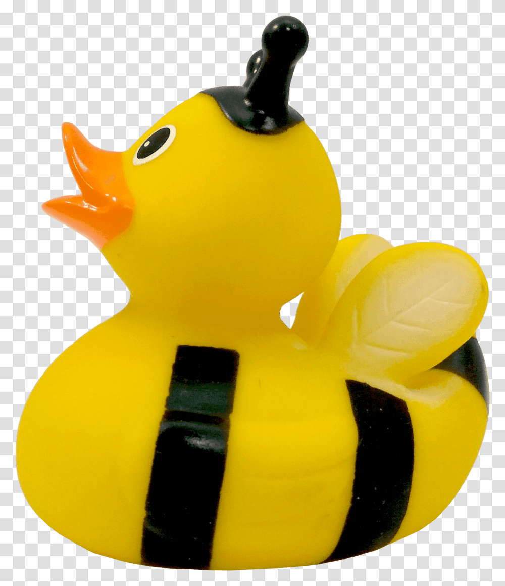 Rubber Duck Rubber Duck, Rock Beauty, Sea Life, Fish, Animal Transparent Png
