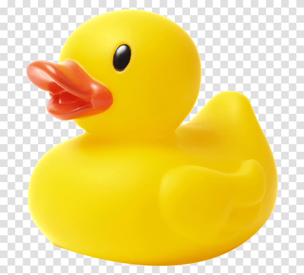 Rubber Duck Stock Photography Natural Rubber Stock Background Rubber Ducky, Bird, Animal, Toy, Waterfowl Transparent Png