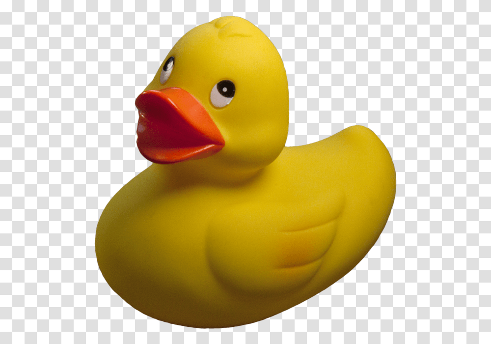 Rubber Duck, Toy, Bird, Animal, Beak Transparent Png