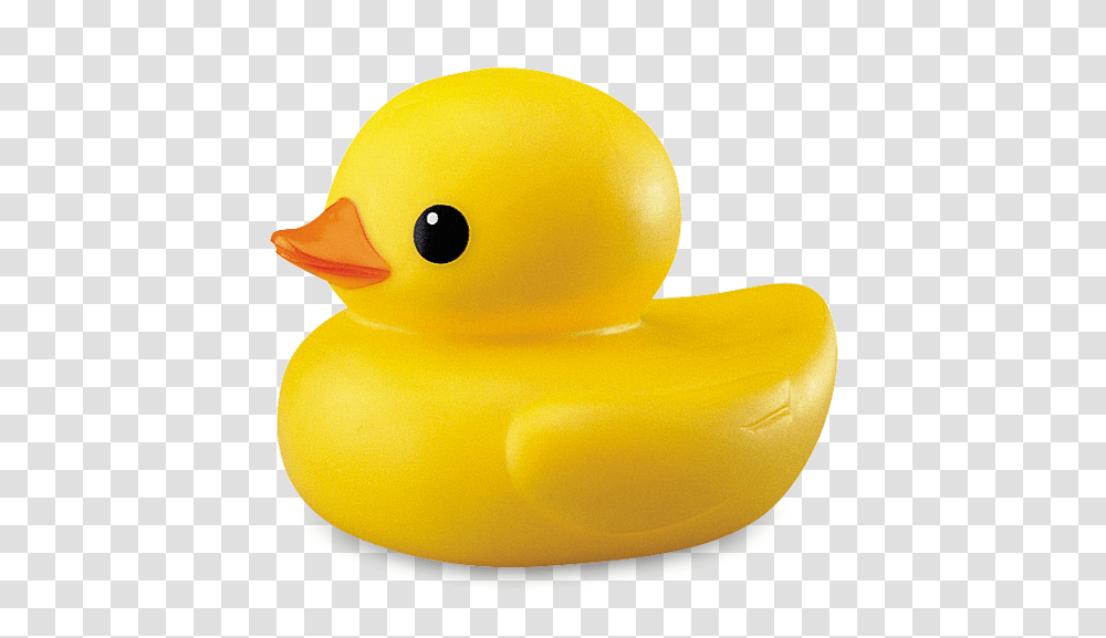 Rubber Duck, Toy, Bird, Animal Transparent Png