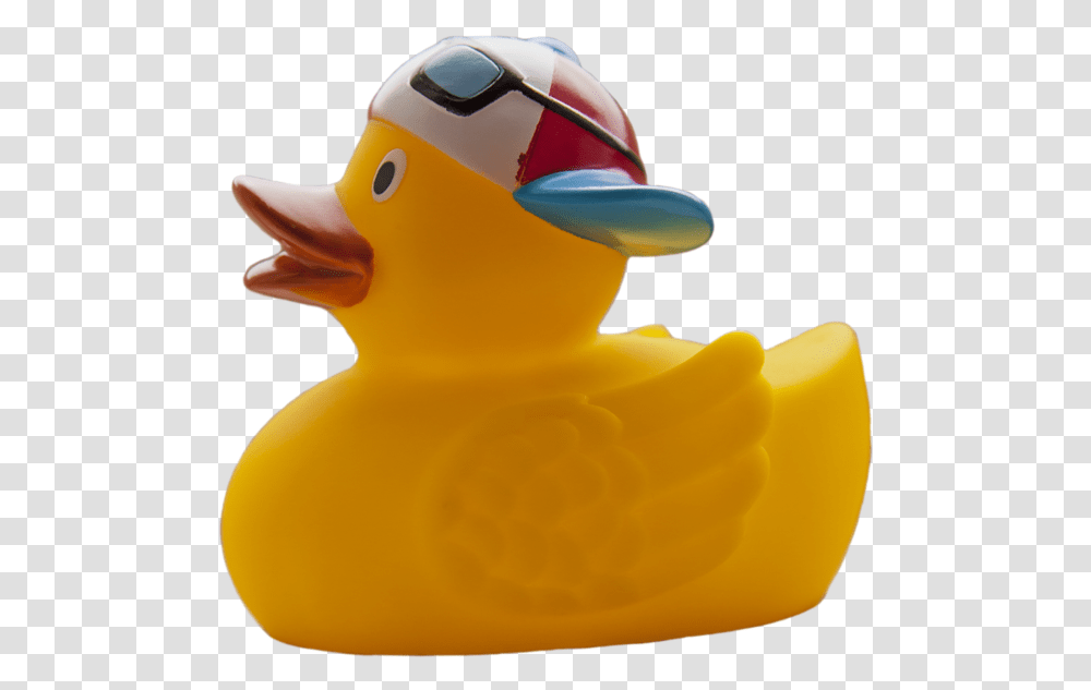 Rubber Duck, Toy, Bird, Animal Transparent Png