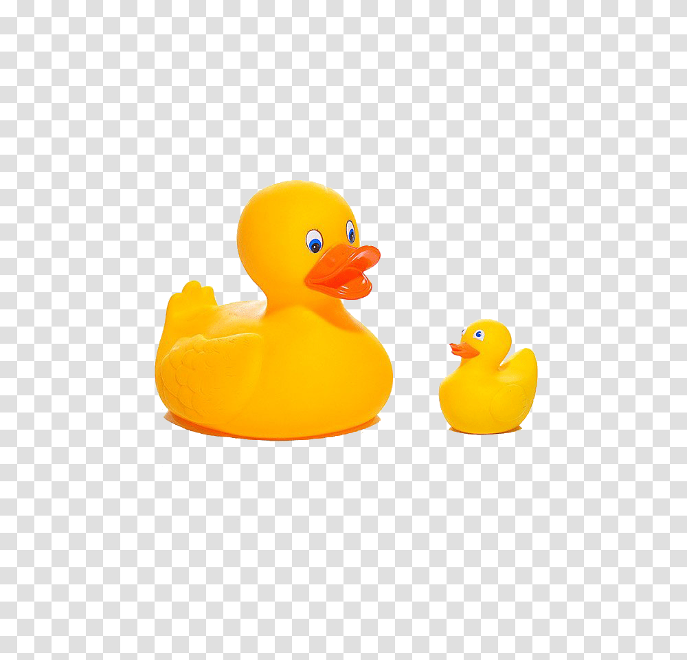 Rubber Ducks, Bird, Animal, Waterfowl Transparent Png