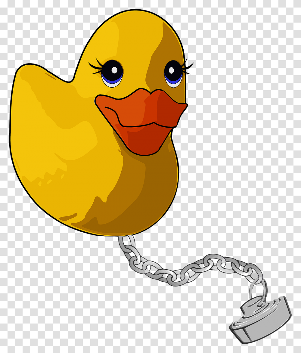 Rubber Ducky, Animal, Bird, Fowl, Poultry Transparent Png