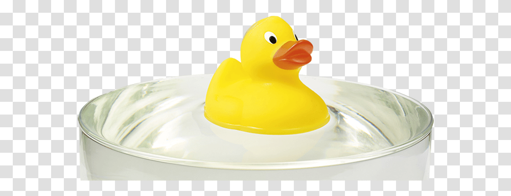 Rubber Ducky, Animal, Toy, Icing, Cream Transparent Png