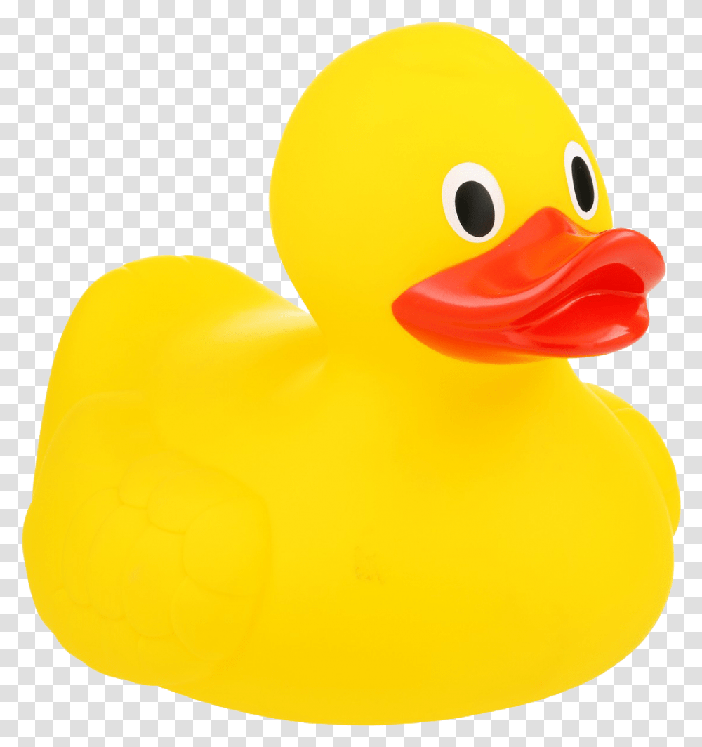 Rubber Duckybath Toyyellowtoyducks Geese And Swansduckbirdwater Rubber Duck Free, Animal, Fowl, Poultry Transparent Png