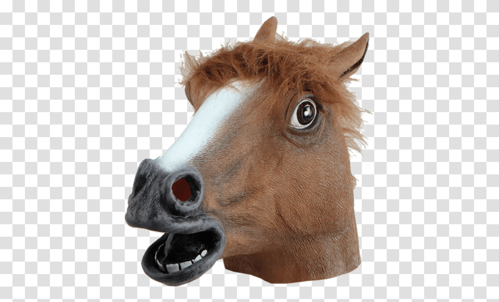 Rubber Horse Head, Mammal, Animal, Wood, Snout Transparent Png