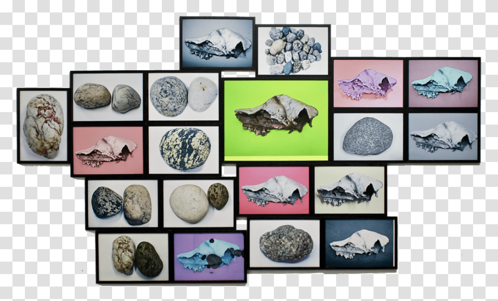 Rubble Igneous Rock, Bird, Animal, Turquoise Transparent Png