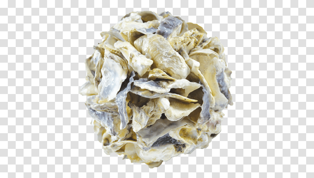 Rubble, Oyster, Seashell, Food, Invertebrate Transparent Png