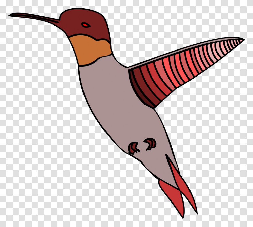 Ruby Throated Hummingbird, Animal, Beak, Flying, Finch Transparent Png