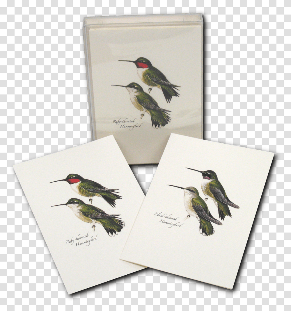 Ruby Throated Hummingbird, Animal, Bee Eater Transparent Png