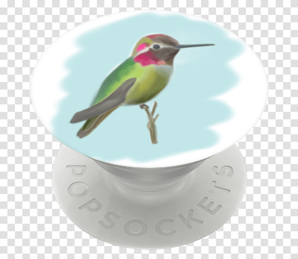Ruby Throated Hummingbird, Bee Eater, Animal, Beak Transparent Png