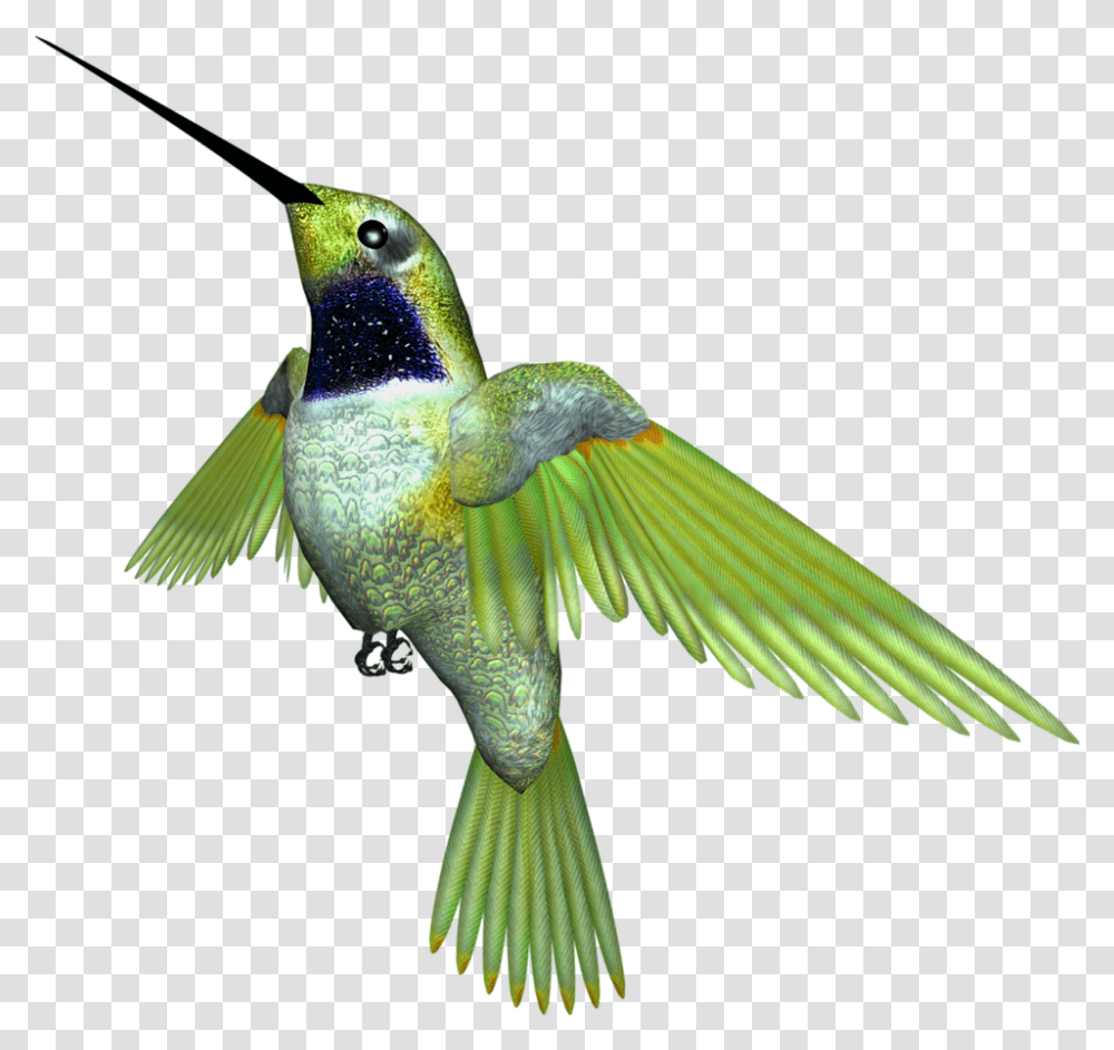 Ruby Throated Hummingbird Rufous Hummingbird, Animal, Bee Eater, Flying Transparent Png