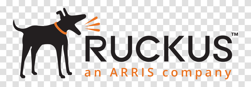Ruckus An Arris Company, Alphabet, Person, Poster Transparent Png