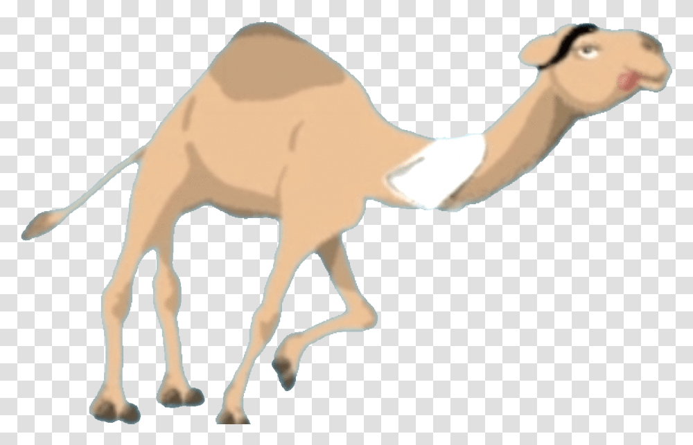 Rudirennkamel Streamlabs Arabian Camel, Mammal, Animal, Person, Human Transparent Png