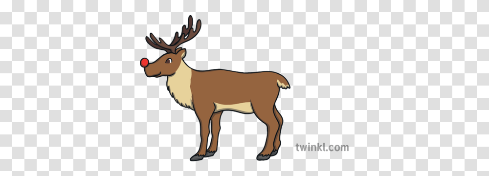 Rudolph Reindeer Measurement Animal Character Open Eyes Ks1 Animal Figure, Mammal, Antelope, Wildlife, Person Transparent Png