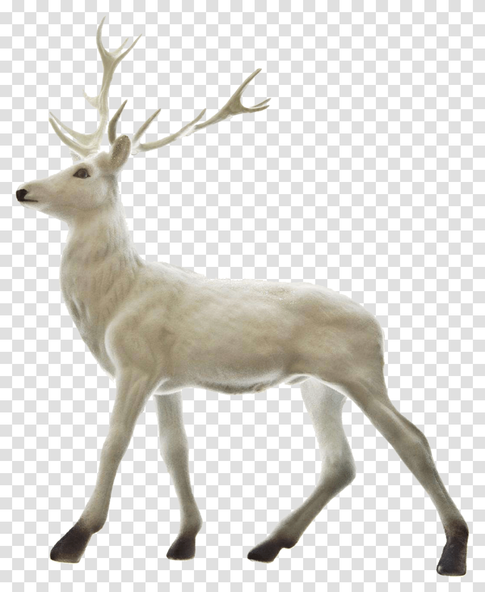 Rudolph Reindeer Santa Claus Christmas Christmas Deer, Antelope, Wildlife, Mammal, Animal Transparent Png