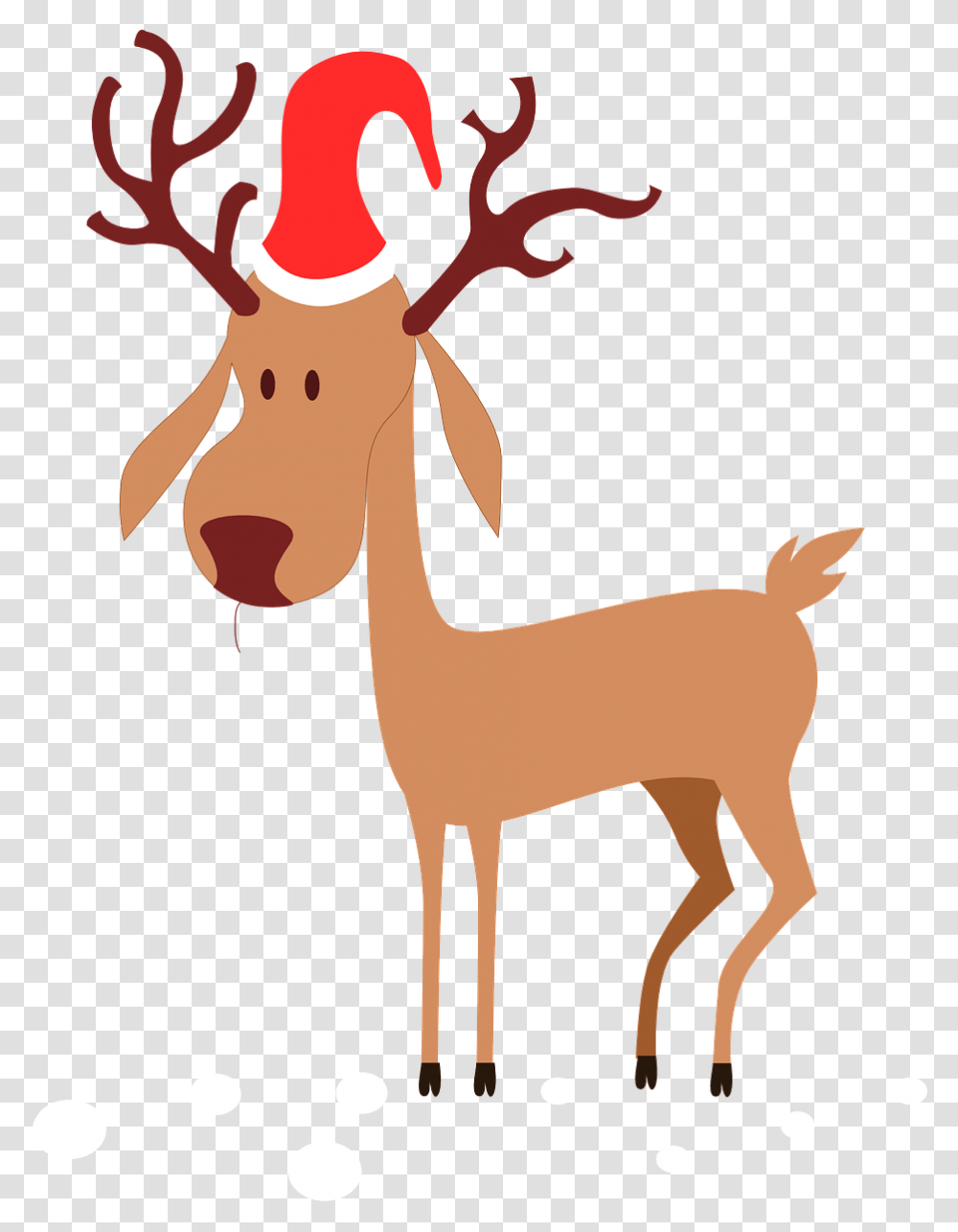 Rudolph The Red Nosed Reindeer, Mammal, Animal, Wildlife, Giraffe Transparent Png