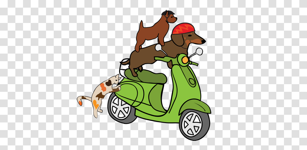 Ruff Ride Minibury, Scooter, Vehicle, Transportation, Motor Scooter Transparent Png
