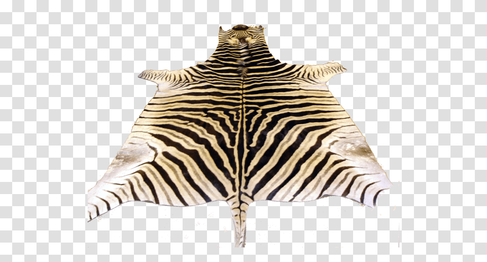 Rug Pattern, Zebra, Wildlife, Mammal Transparent Png