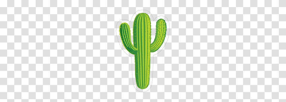 Rugged Cactus Sticker, Plant Transparent Png