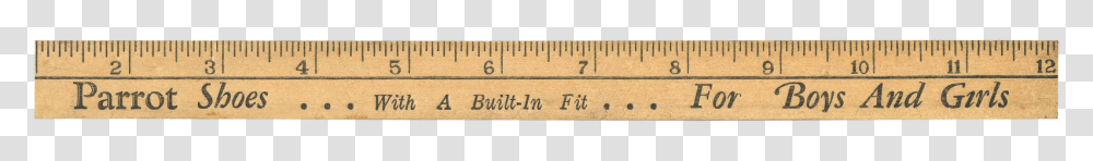 Ruler, Tool, Plot, Diagram Transparent Png