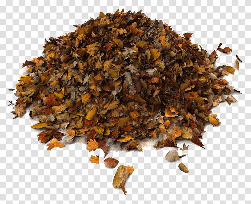 Rummage Sale Pile Of Leaves Brown Leaf Pile, Plant, Fungus, Tree, Potted Plant Transparent Png