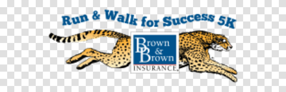 Run Amp Walk For Success 5k Presented By Brown Amp Brown Brown Amp Brown Inc., Mammal, Animal, Wildlife, Cheetah Transparent Png