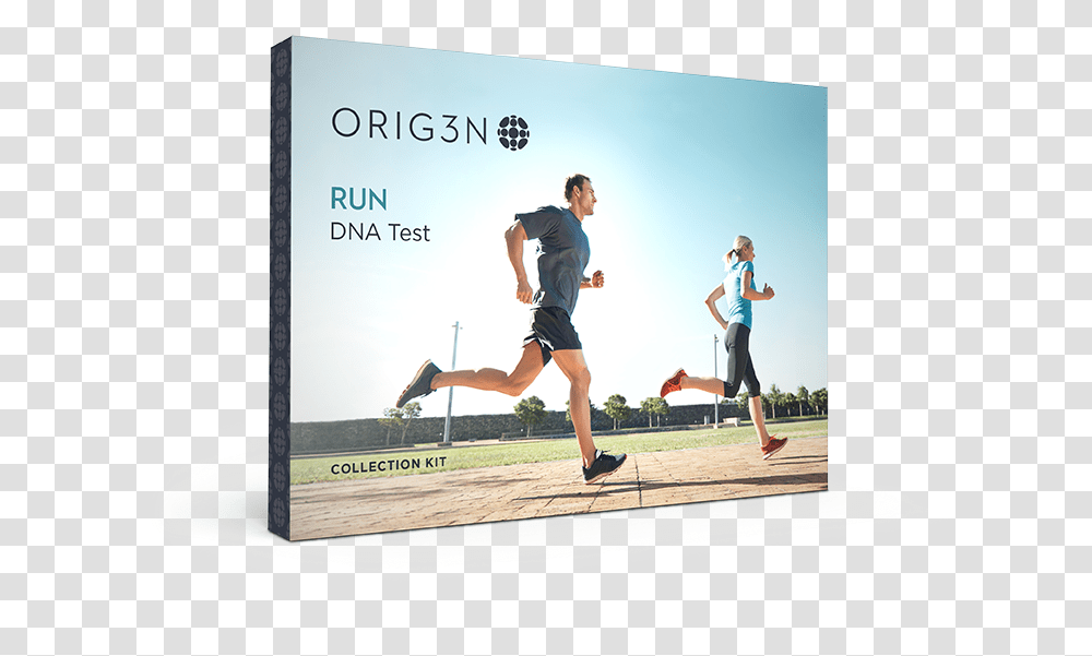 Run Dna TestClass Jogging, Person, Working Out, Sport, Fitness Transparent Png