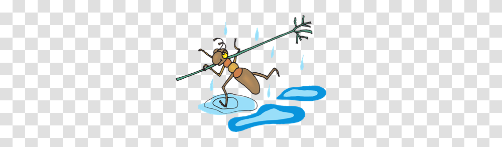 Run Images Icon Cliparts, Insect, Invertebrate, Animal, Photography Transparent Png