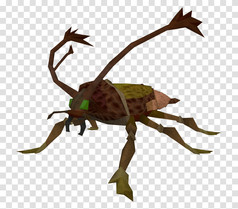 Runescape Cockroach, Bow, Cricket Insect, Invertebrate, Animal Transparent Png