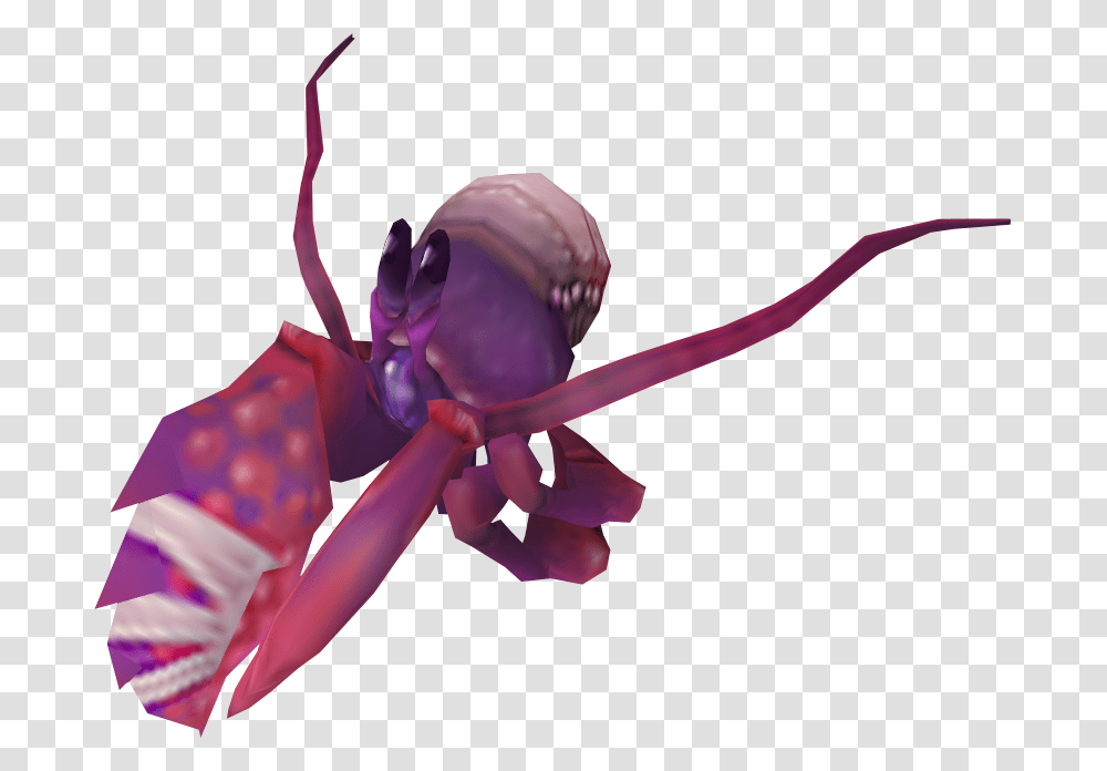 Runescape Hermit Crab, Invertebrate, Animal, Insect, Cricket Insect Transparent Png