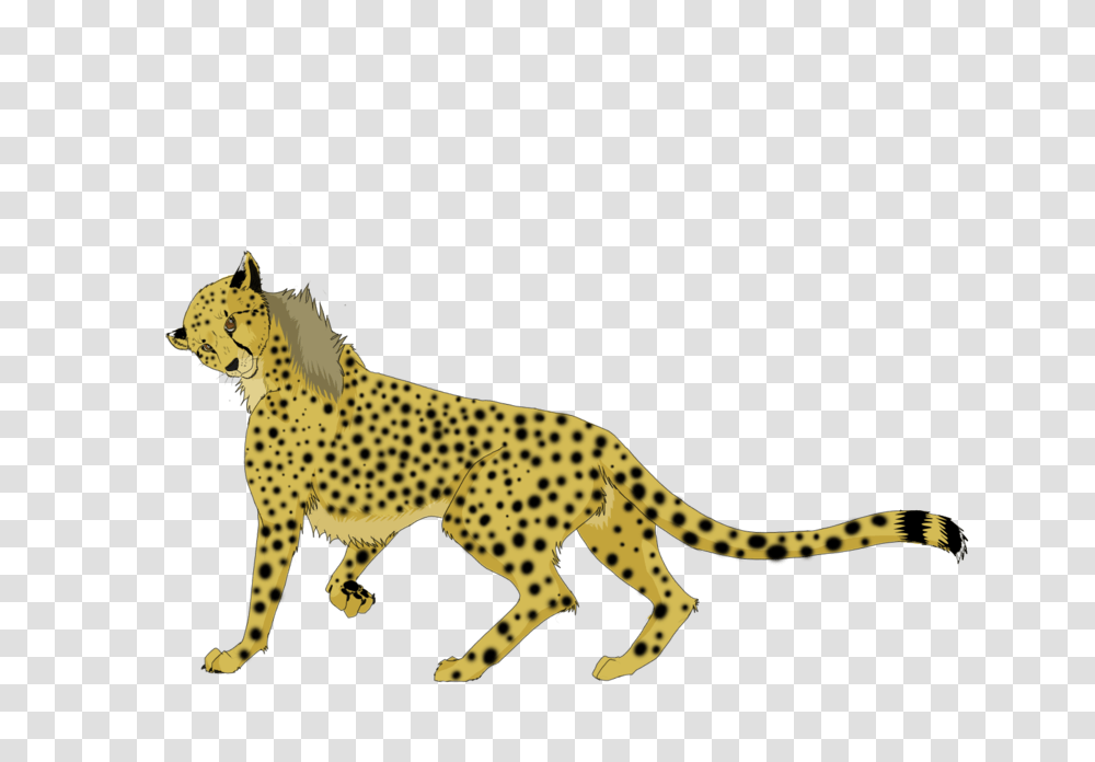 Running Cheetah Background Image Arts, Wildlife, Mammal, Animal, Panther Transparent Png