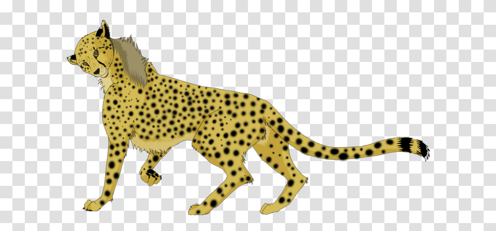 Running Cheetah Background Image Cheetah, Wildlife, Mammal, Animal, Giraffe Transparent Png
