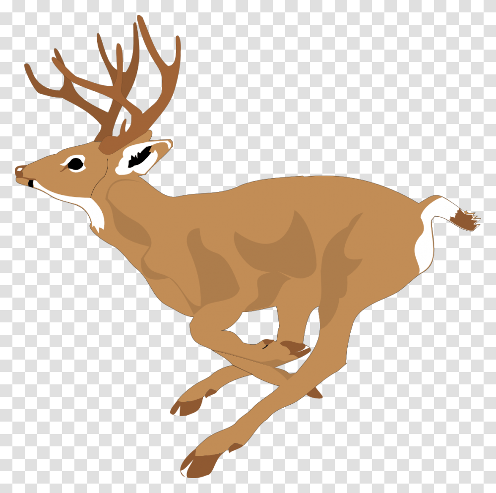 Running Deer Clip Art Running Deer Clipart, Wildlife, Mammal, Animal, Antelope Transparent Png