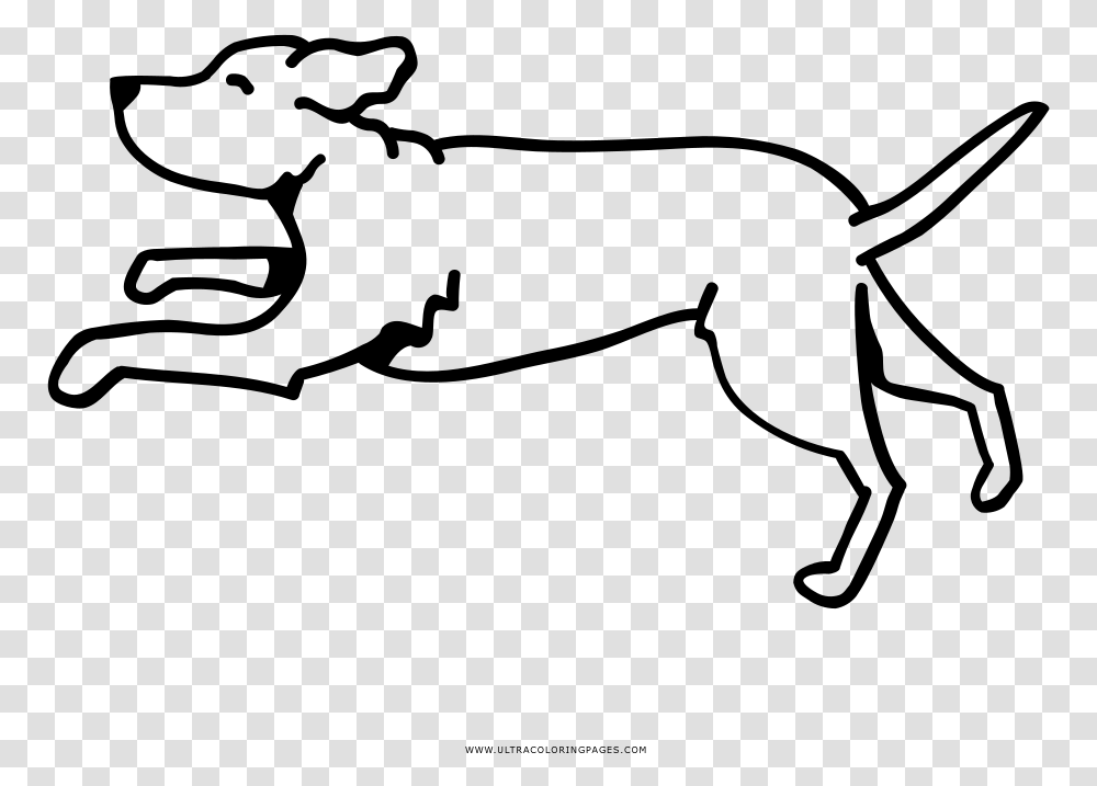 Running Dog Coloring, Gray, World Of Warcraft Transparent Png