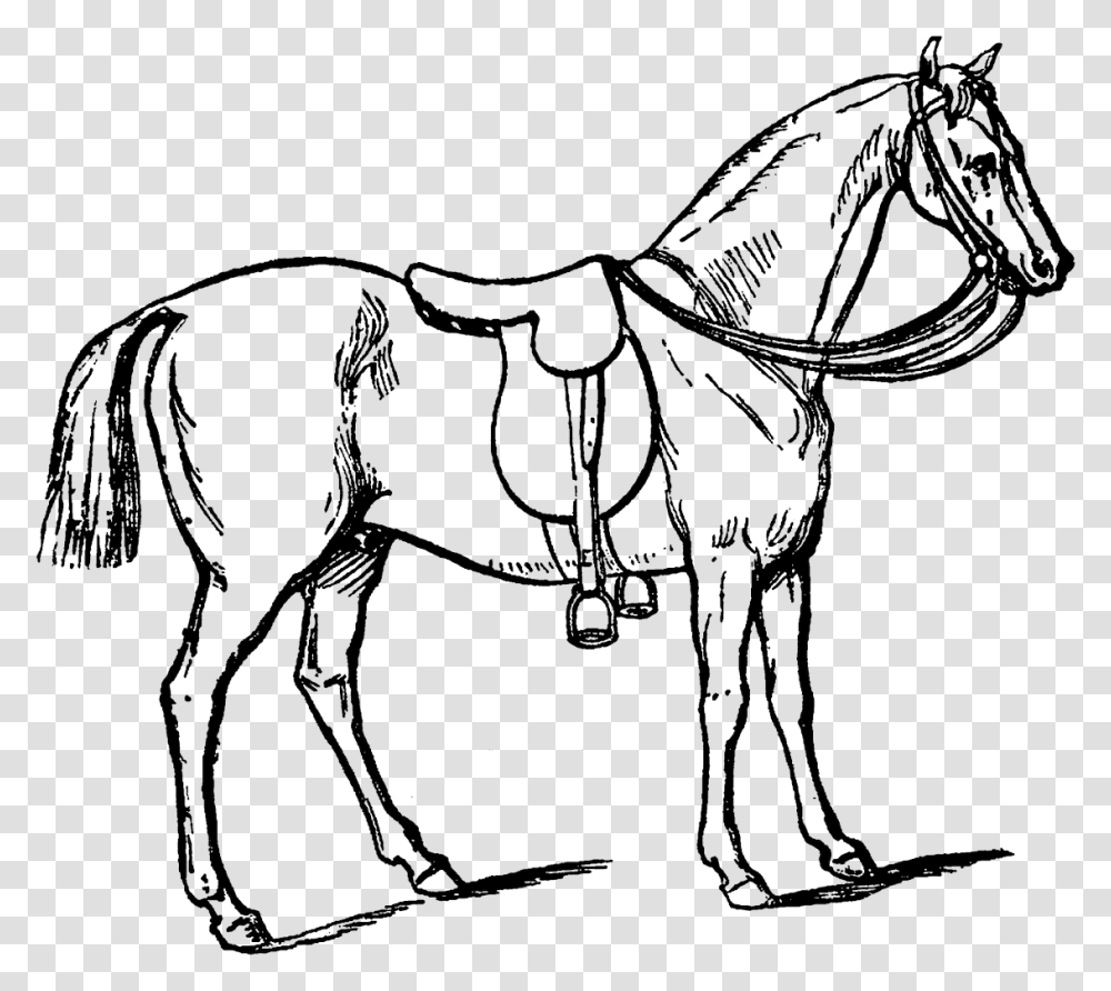 Running Horse Silhouette Chetak Horse Images Line Art, Mammal, Animal, Blouse, Saddle Transparent Png