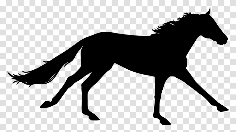 Running Horse Silhouette Clipart Horse Galloping Silhouette, Gray, World Of Warcraft Transparent Png