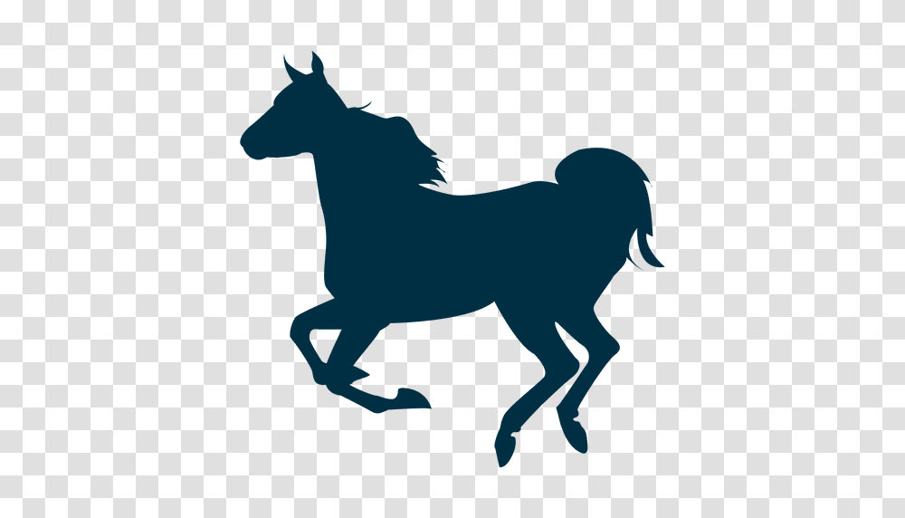 Running Horse Silhouette, Mammal, Animal, Foal Transparent Png