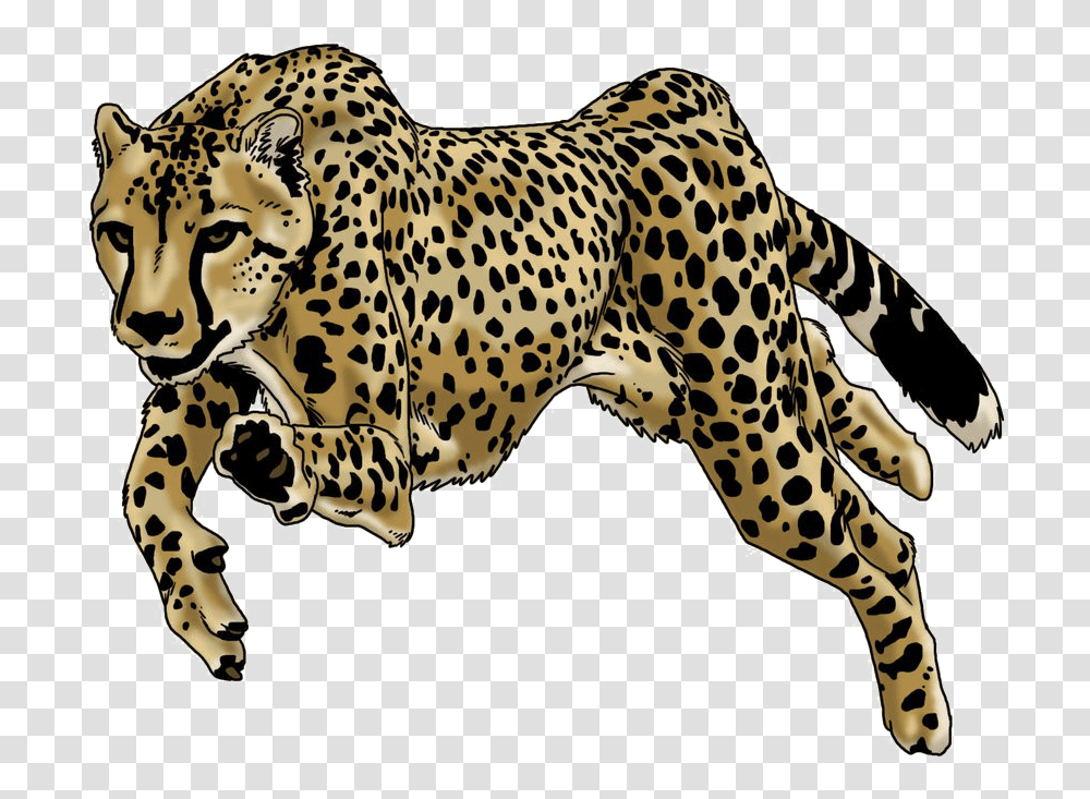Running Leopard Image Background Leopard Drawing, Wildlife, Animal, Mammal, Cheetah Transparent Png