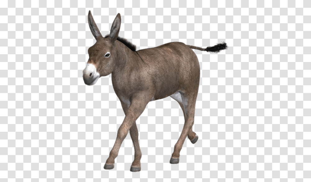 Running Mule Cool Mule, Antelope, Wildlife, Mammal, Animal Transparent Png