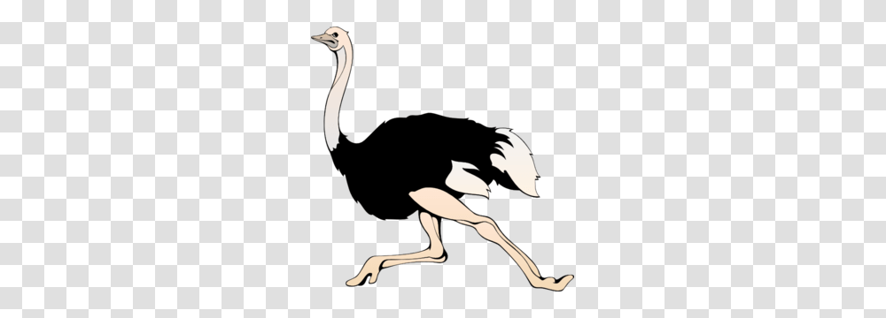 Running Ostrich Clip Art, Animal, Bird, Mammal, Wildlife Transparent Png