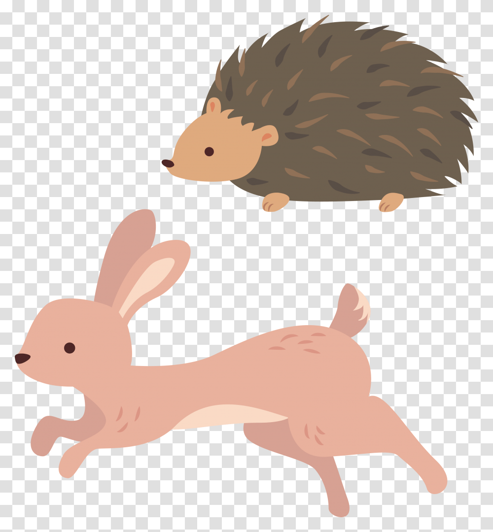 Running Rabbit, Animal, Bird, Rodent, Mammal Transparent Png