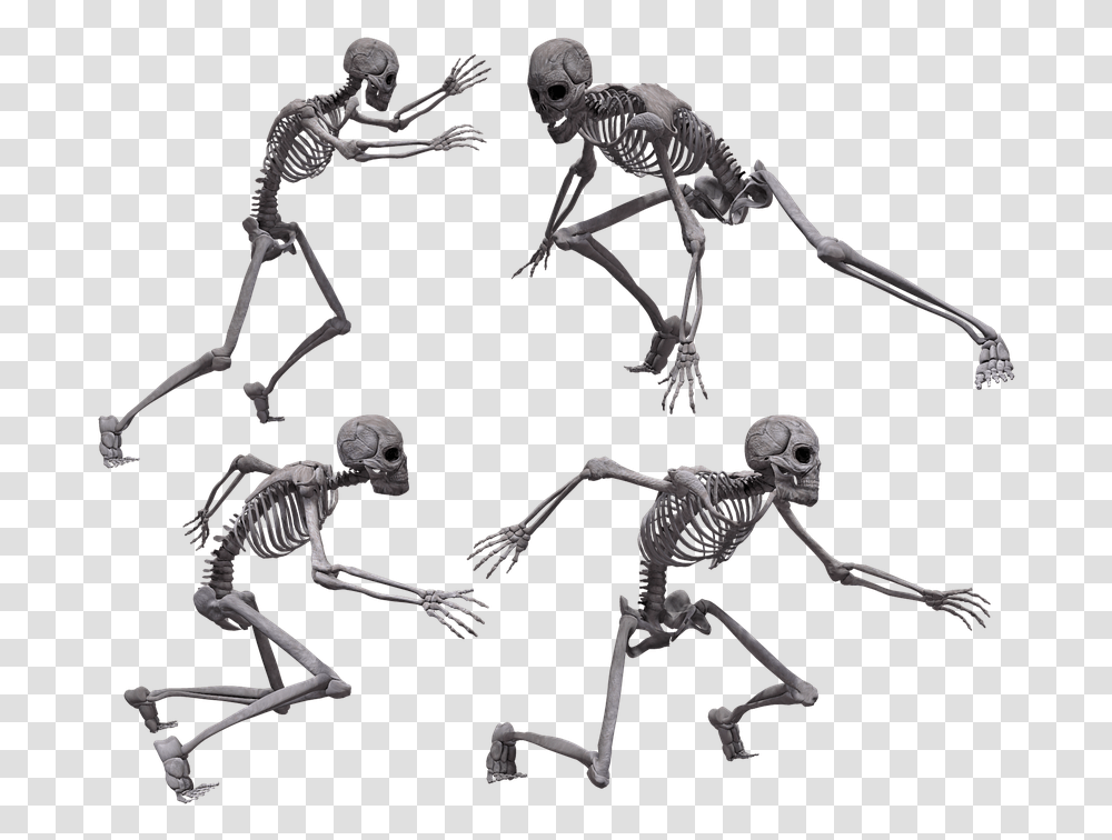 Running Skeleton Skeleton Crawling, Person, Human, Spider, Invertebrate Transparent Png