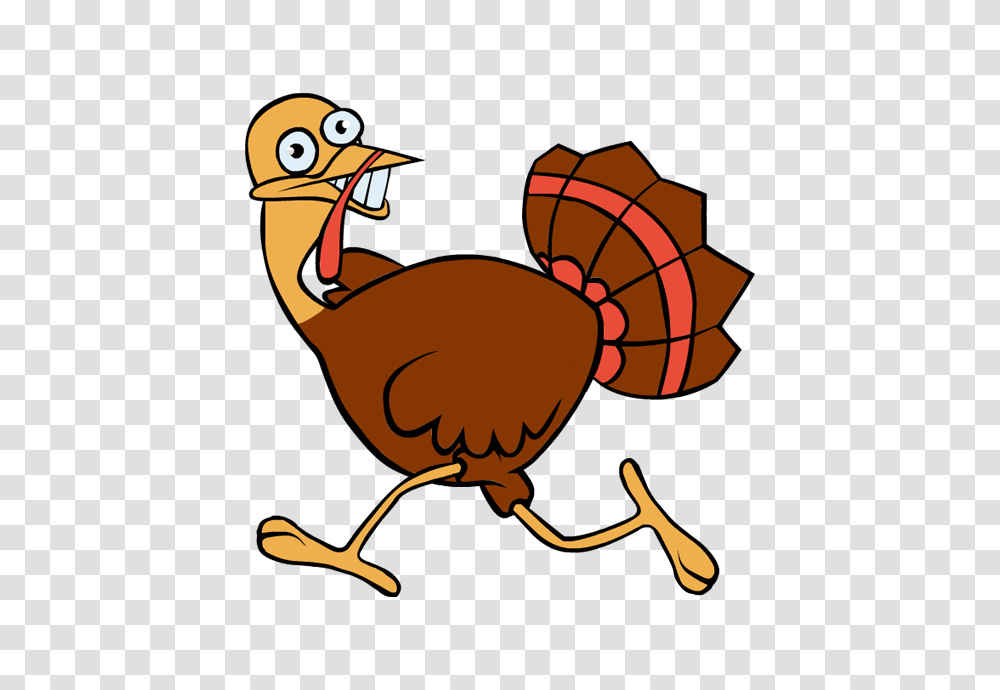 Running Turkey Clipart, Animal, Fowl, Bird, Turkey Bird Transparent Png