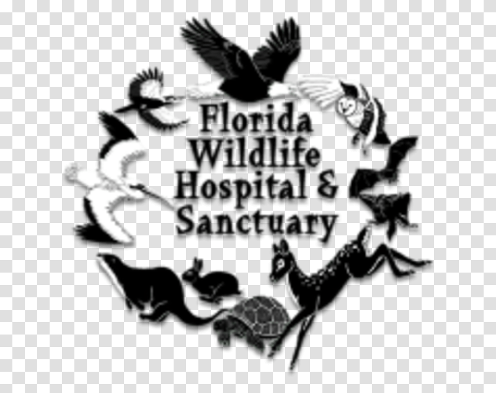 Running Wild 5k Florida Wildlife Sanctuary, Person, Human, Leisure Activities Transparent Png