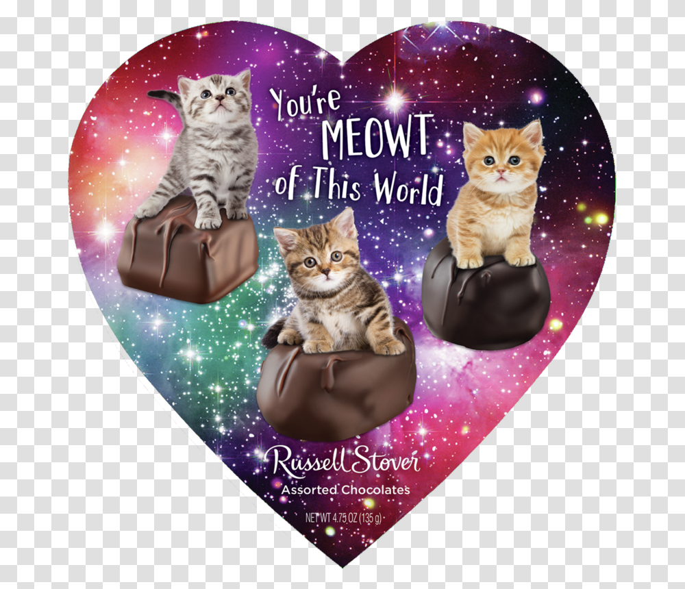 Russell Stover Assorted Meme Hearts Domestic Short Haired Cat, Pet, Mammal, Animal, Kitten Transparent Png